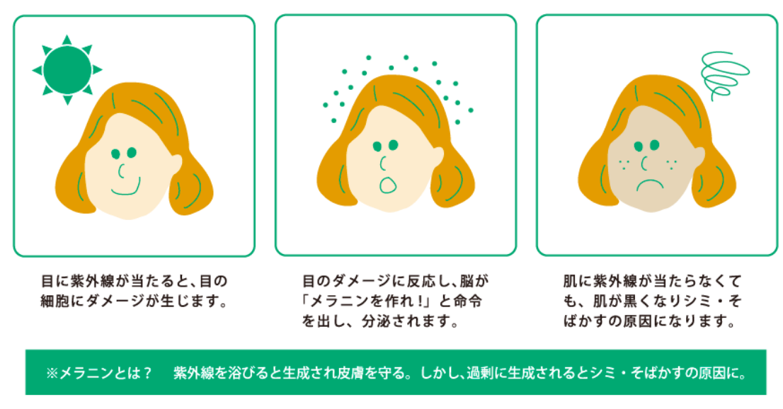 目からの紫外線でお肌も黒くなる?